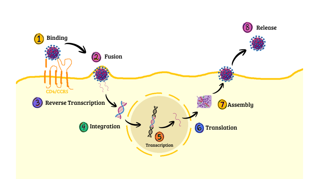 Saat Sains Melawan Stigma: Fakta dan Inovasi tentang HIV