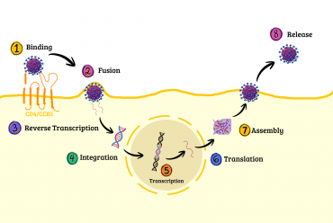 Saat Sains Melawan Stigma: Fakta dan Inovasi tentang HIV