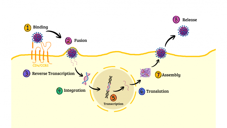 Saat Sains Melawan Stigma: Fakta dan Inovasi tentang HIV