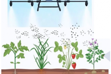 Biopestisida Cerdas Berbasis RNA: Solusi Pertanian Masa Depan yang Lebih Aman