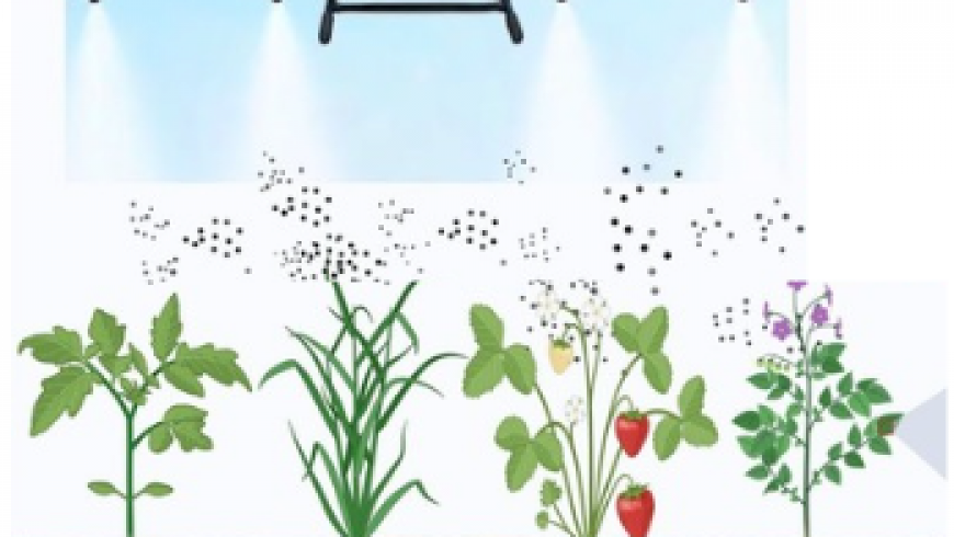 Biopestisida Cerdas Berbasis RNA: Solusi Pertanian Masa Depan yang Lebih Aman
