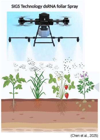 Biopestisida Cerdas Berbasis RNA: Solusi Pertanian Masa Depan yang Lebih Aman